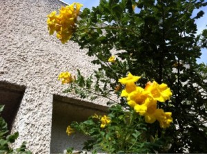 3C813781-B038-4901-BBEF-D95CB674BF3076