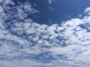 20160907-131127.jpg