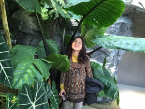 EC27840F-A046-43CB-B709-26F1D634A4EDiphone_photo