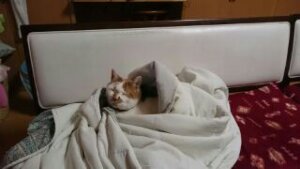 1431845951526.jpg image