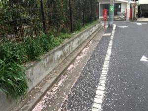 99BE0D23-1880-49FB-9A64-863143A21848165