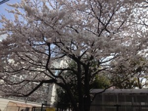 EB6DA3DC-232A-4F4E-8DC6-FC80229D08C5128