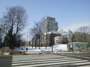 IMG_20160308_104033