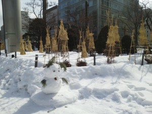 IMG_20160308_104203