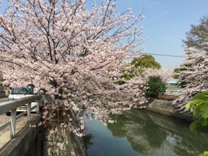 20160406-185615.jpg