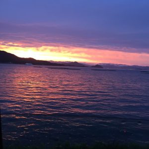 IMG_1429