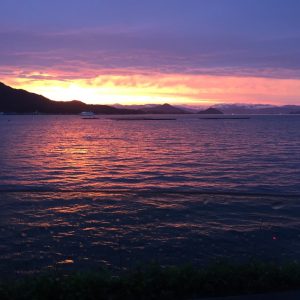 IMG_1430