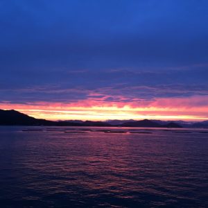 IMG_1433
