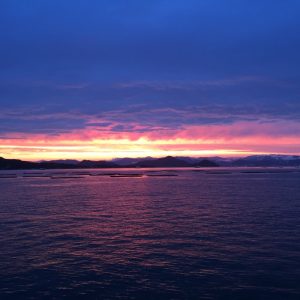 IMG_1434