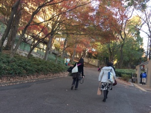 20161211-151837.jpg