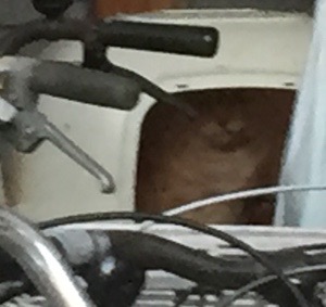 20170205-132938.jpg