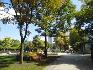 IMG_20150915_103344