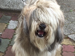20160427-113705.jpg