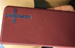 20170228-141103.jpg