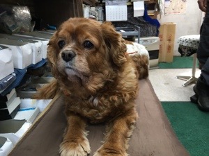 20170303-130712.jpg