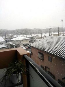 11%e6%9c%8824%e6%97%a5%e5%88%9d%e9%9b%aa