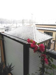 11%e6%9c%8824%e6%97%a5%e5%ba%ad%e3%81%8b%e3%82%89%e5%88%9d%e9%9b%aa