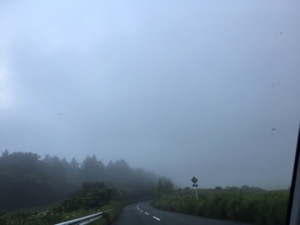 20160816-134058.jpg