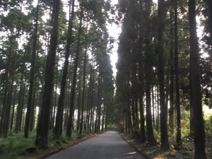 20160816-134104.jpg