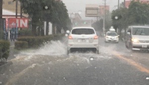 20160818-171736.jpg