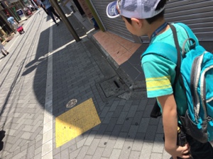 20170617-111755.jpg