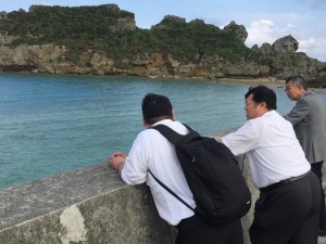 2404D0DA-71F9-4F2E-BEDE-2EE4A9B7955Diphone_photo