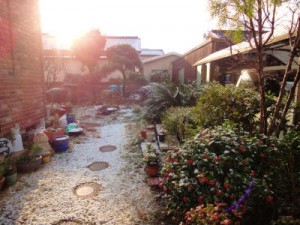 DSC07054