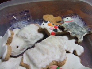 DSCF8788.jpg クッキー