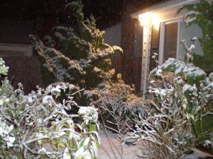 雪が積もっています。冬休みも終わり今日から学校始まりましたが、雪が降ったので明日の1月3日は学校休みになりましたよ～。スタッフォード、バージニアより。オンライン会員で～す。