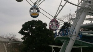 app-045555700s1388758613