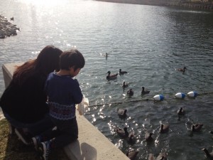 写真-3 のコピー 3