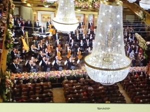 20170103-111430.jpg
