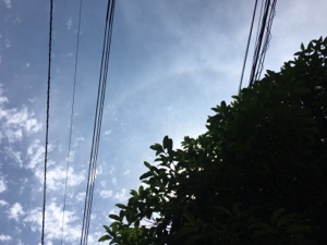 20170620-080830.jpg