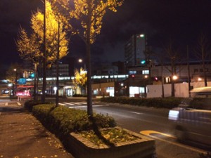 IMG_4223