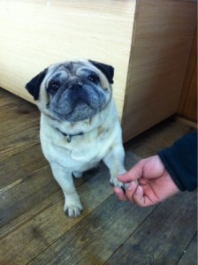 B82124CB-250B-4D77-B1E4-61F0C6B113EE18