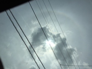 20160509-100119.jpg