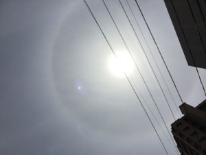 20160509-125512.jpg