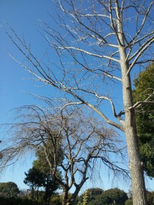 20131214_102633